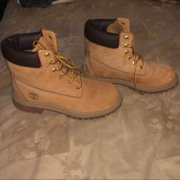 Timberlands - Picture 3 of 5
